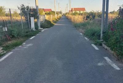 Casă cu 2 camere în Ulmi - 5