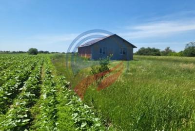 Casă cu 4 camere cu Teren 5100 Mp în Leu