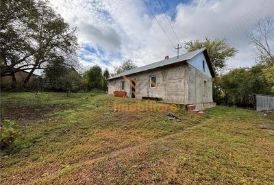 Casă cu 2 camere cu Teren 4000 Mp în Dernișoara - 6