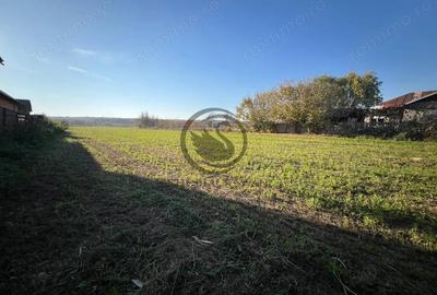 Teren de 12650 mp, în Ghirdoveni - 5