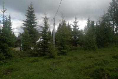 Teren Construcții de 1300 mp, în Beliș - 4