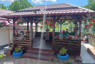 Casă cu 2 camere cu Teren 3500 Mp în Adâncata - 18