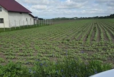 Teren de 3300 mp, în Fălticeni