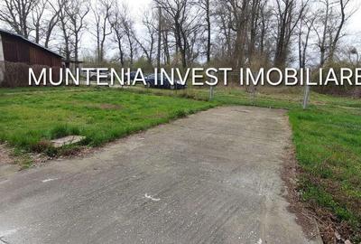 Spațiu comercial, de 672 mp, în Mărăcineni - 7