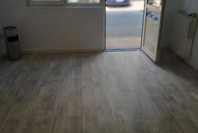 Spațiu comercial, de 40 mp, în Șagului - 3