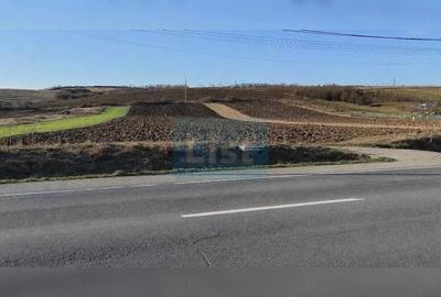 Teren de 7800 mp, în Livada (Iclod)