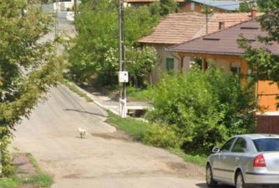 Casă cu 2 camere cu Teren 466 Mp în Cerna - 2