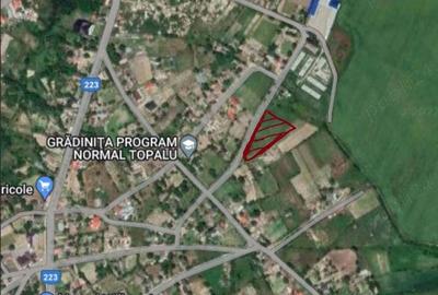 Teren de 5000 mp, în Topalu - 1