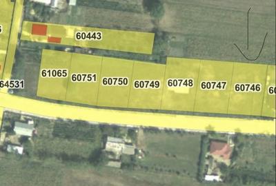 Teren de 1050 mp, în Țuțora - 2