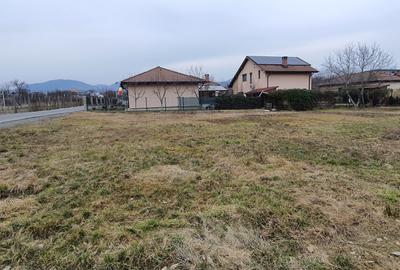 Teren intravilan de 878 mp, în Tăuții-Măgherăuș - 8