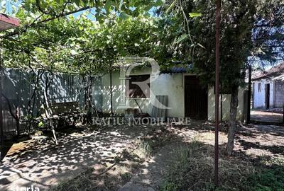 Casă cu 2 camere cu Teren 4029 Mp în Sânmartin - 6