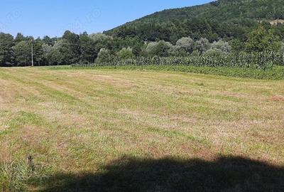 Teren de 3943 mp, în Negreni - 4