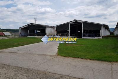 Casă individuală cu 20 camere cu Teren 35000 Mp în Pianu - 6