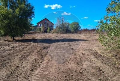 Teren agricol intravilan de 3778 mp, în Brănești - 6