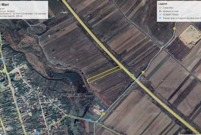 Teren Construcții intravilan de 7829 mp, în Corbii Mari - 3