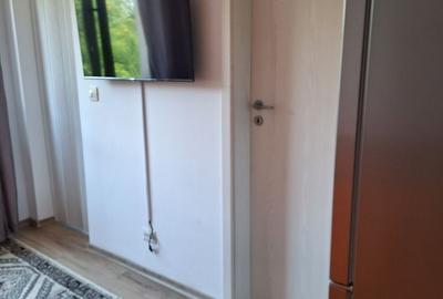 Garsonieră decomandată în Olteni - 2