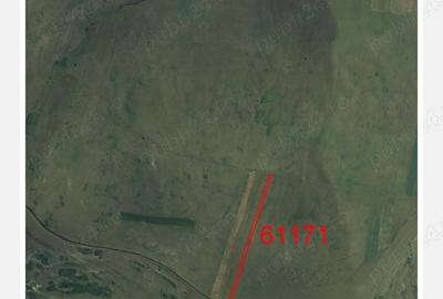 Teren în Borșa - 4
