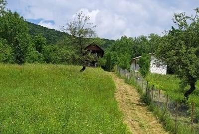 Teren extravilan de 3000 mp, în Cosmina de Sus - 3