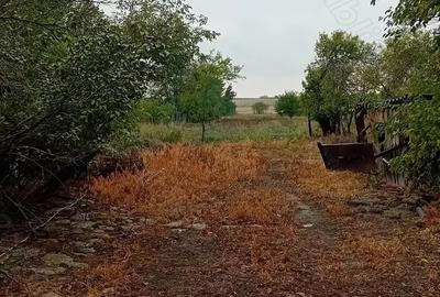 Teren de 1300 mp, în Moravița - 4