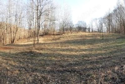 Teren de 4750 mp, în Provița de Sus - 3