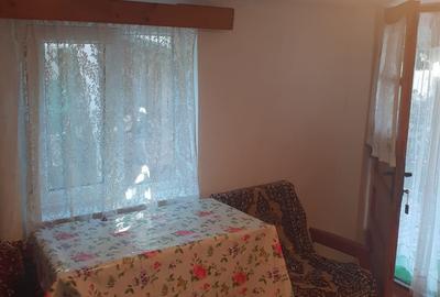 Casă individuală cu 2 camere cu Canalizare în Palazu Mare - 9