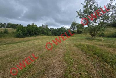 Teren agricol extravilan de 3400 mp, în Sărămaș - 8