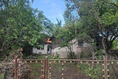 Teren de 4236 mp, în Cotenești - 7