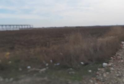 Teren agricol intravilan de 4.5 mp, în Brăilei - 5