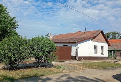 Casă cu 3 camere cu Teren 1700 Mp în Central - 2