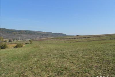 Teren de 3000 mp, în Rădaia - 1