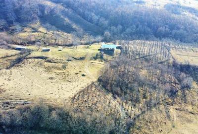 Teren Construcții intravilan de 8630 mp, în Est - 8