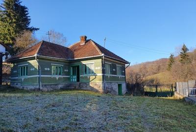 Casă cu 3 camere decomandat în Hărțăgani