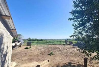 Casă cu 2 camere cu Teren 2156 Mp în Central