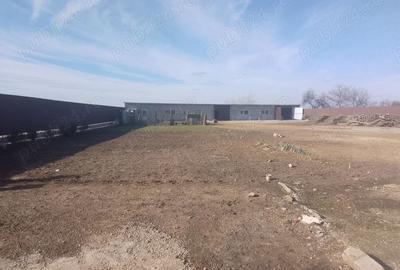 Casă cu 3 camere în Băneasa