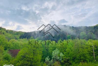 Apartament cu 2 camere, mobilat în Valea Cetății