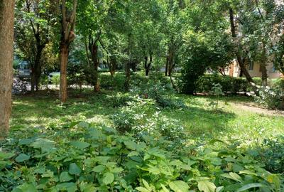 Apartament cu 2 camere semidecomandat în Gheorgheni - 8