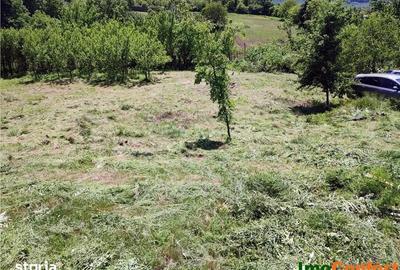 Teren de 290 mp, în Bârnova