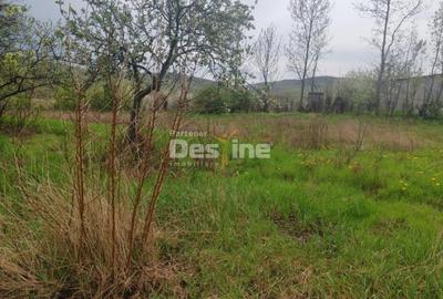 Teren de 3160 mp, în Poiana - 3