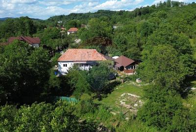 Casă individuală cu 4 camere cu Teren 3765 Mp în Mihăești - 30