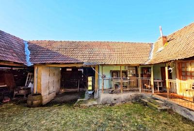 Casă individuală cu 4 camere cu Teren 10486 Mp în Ierșnic - 12