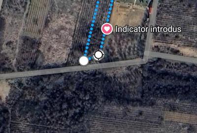 Teren de 600 mp, în Cârcea - 1