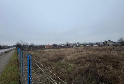 Teren Construcții intravilan de 1800 mp, în Țigănași - 4