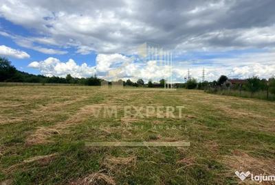 Casă cu 3 camere cu Teren 6997 Mp în Bughea de Sus - 12