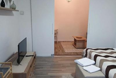 Apartament cu 2 camere semidecomandat în Cișmigiu - 2
