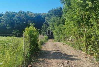 Teren extravilan de 90000 mp, în Corunca - 2
