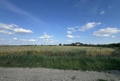 Teren de 9300 mp, în Pruni - 7