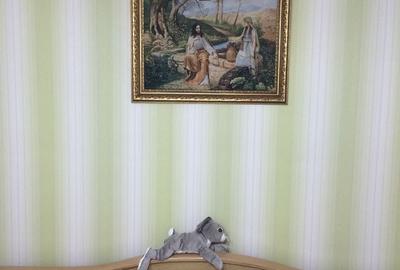 Apartament cu 3 camere decomandat în Petru Rareș - 13