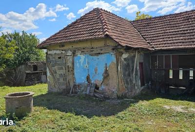Casă cu 3 camere cu Teren 2880 Mp în Buteni - 2