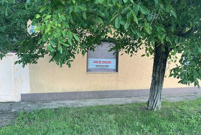 Casă cu 3 camere cu Teren 3300 Mp în Central - 5