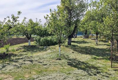 Teren de 7000 mp, în Central